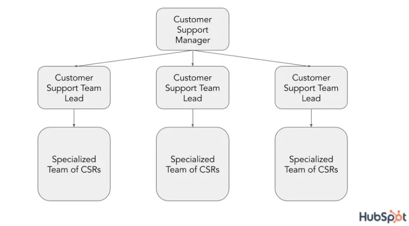 Identify Team Structure & Roles